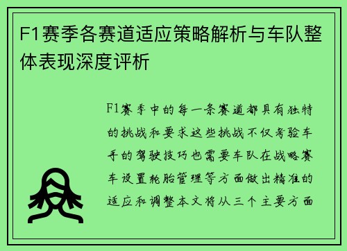 F1赛季各赛道适应策略解析与车队整体表现深度评析